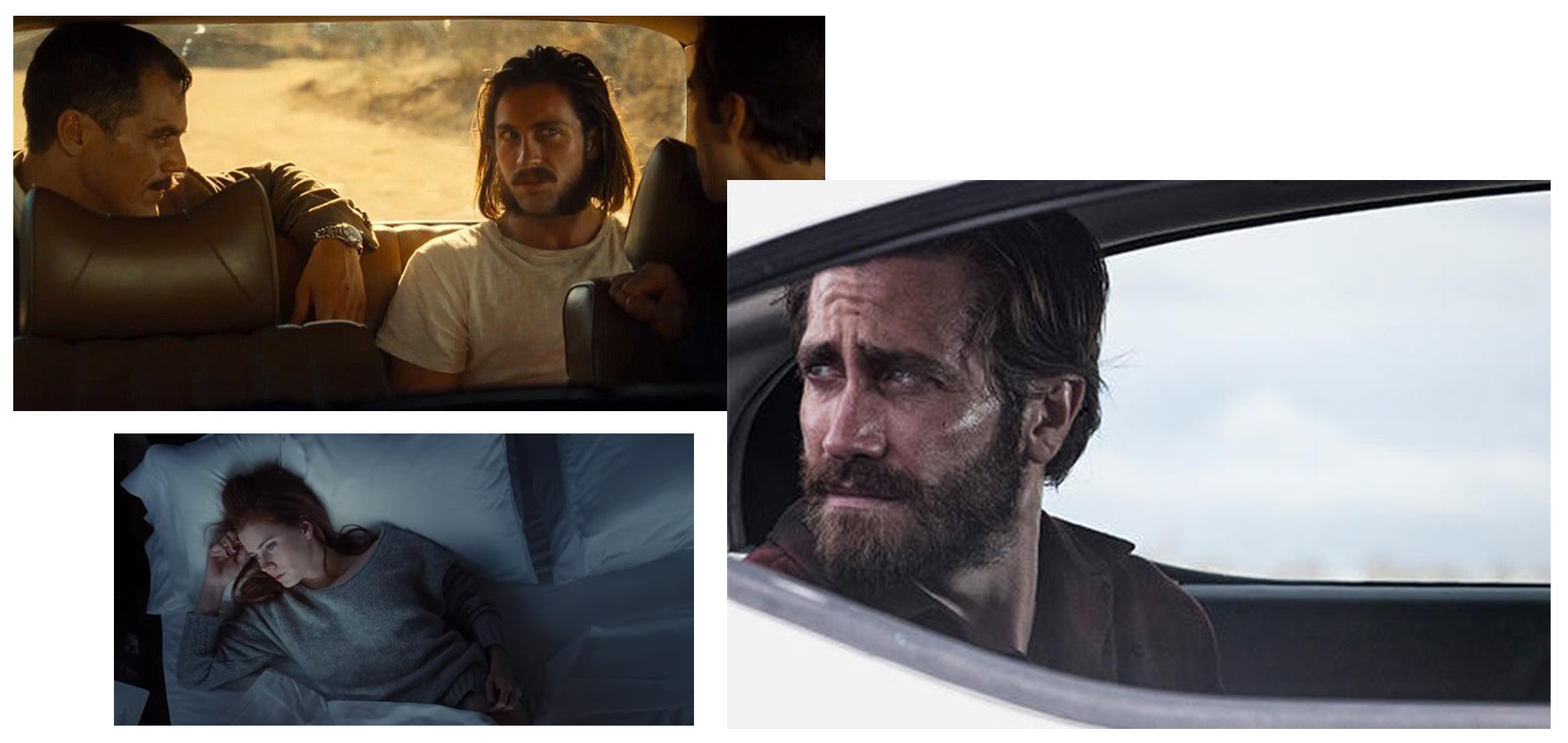 Nocturnal Animals Summers Wilding Nocturnal animals summers wilding